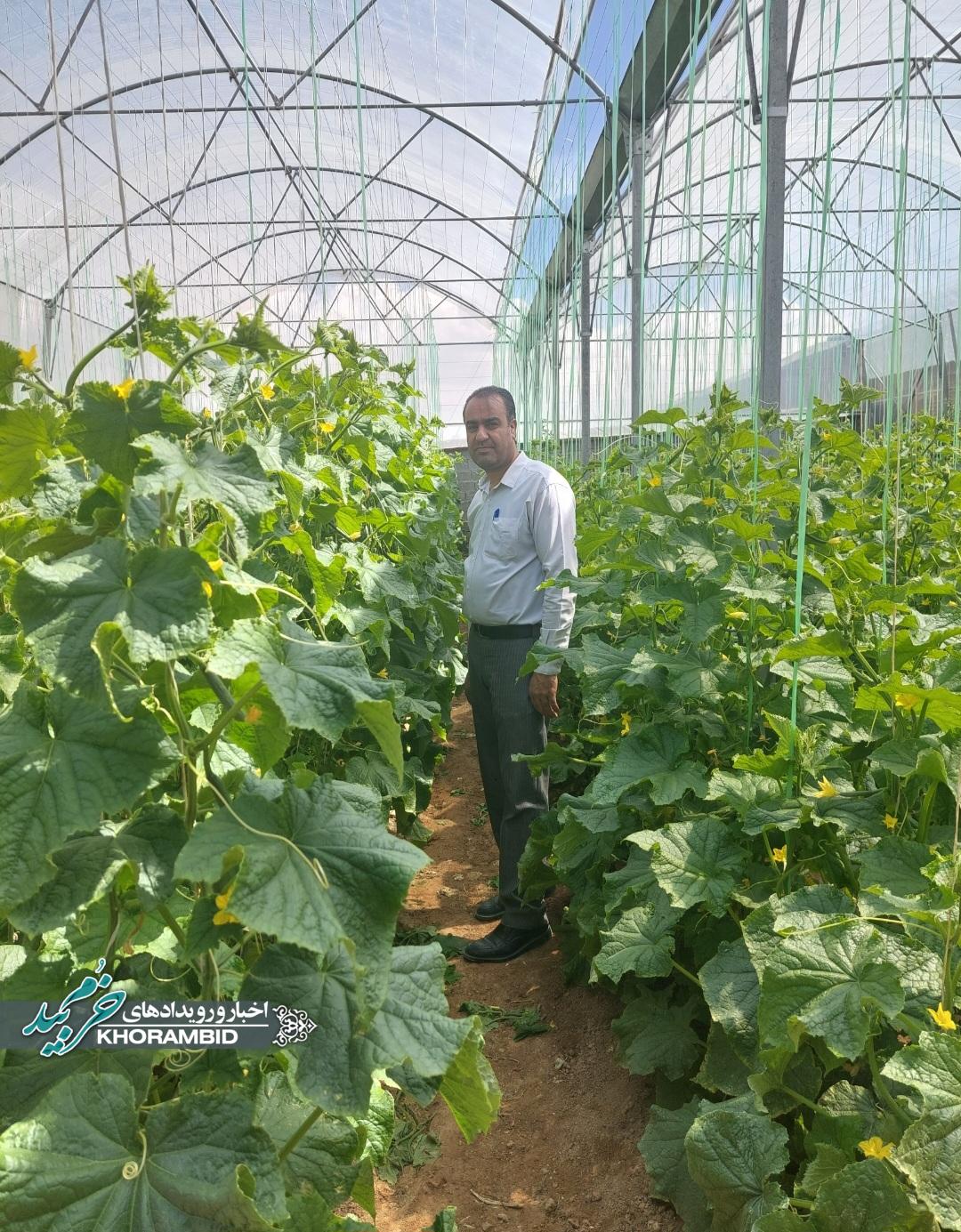 سیدجواد مرتضوی