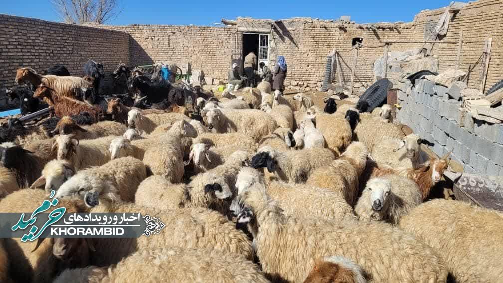 اطلاعیه شروع فاز دوم تب برفکی ازابتدای بهمن ماه تا آخر سال جاری
