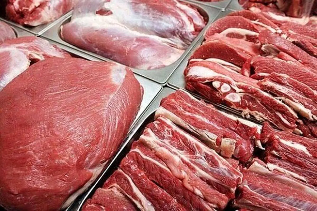 آغاز توزیع گوشت گرم تنظیم بازاری گوساله در خرم‌بید