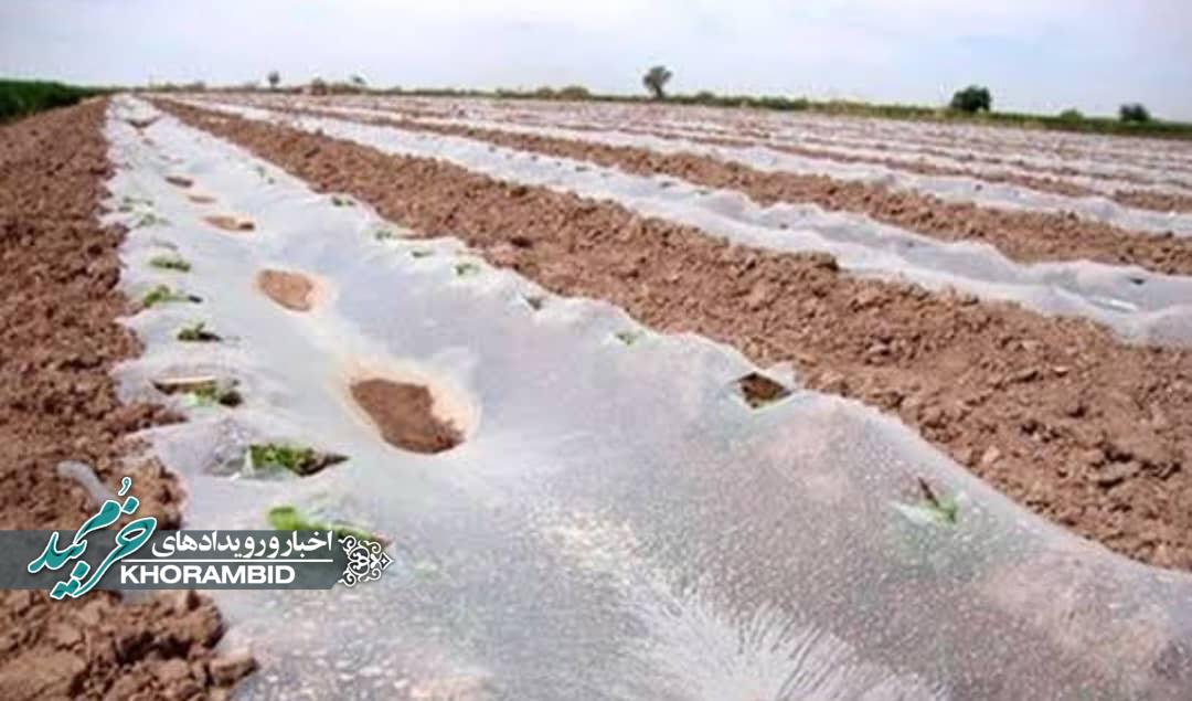 “لزوم جمع‌آوری فوری پلاستیک‌های رها شده در مزارع صیفی‌جات برای حفاظت از خاک و محیط زیست