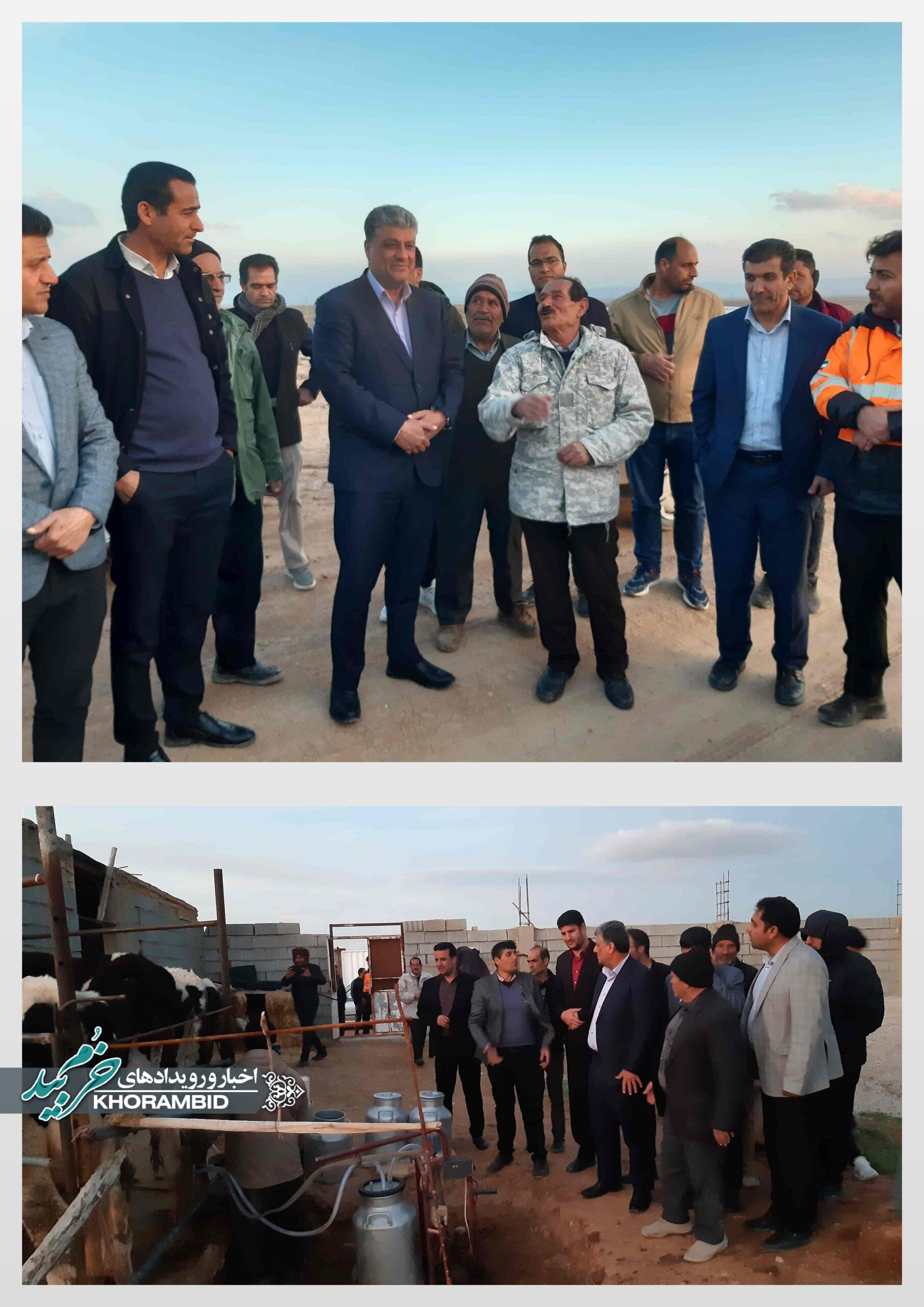 بازدید فرماندار خرم‌بید از مجتمع دامداری خوشه چین صفاشهر و بررسی مشکلات ساخت‌وساز