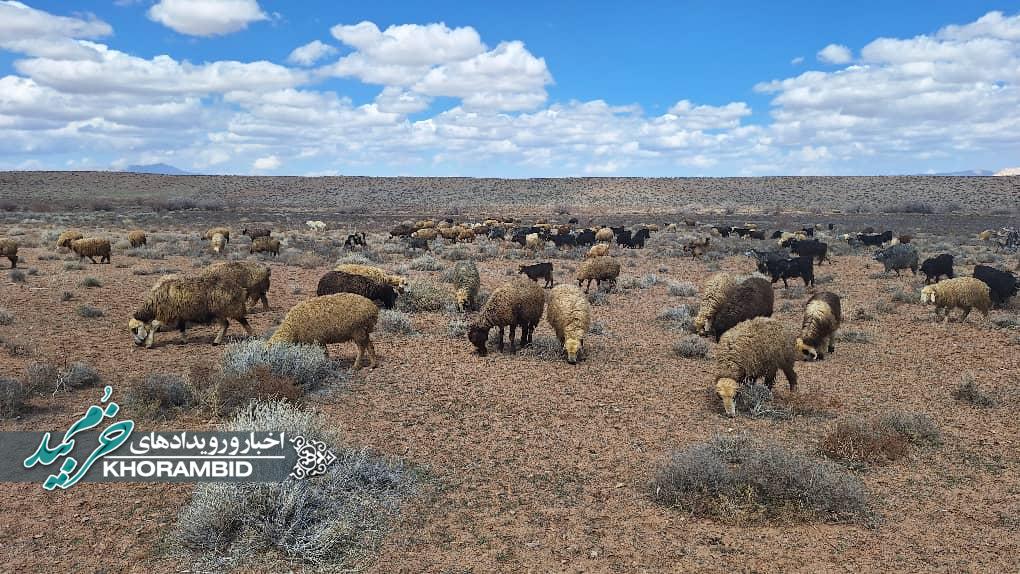 اطلاعیه منابع طبیعی و آبخیزداری شهرستان خرم بید