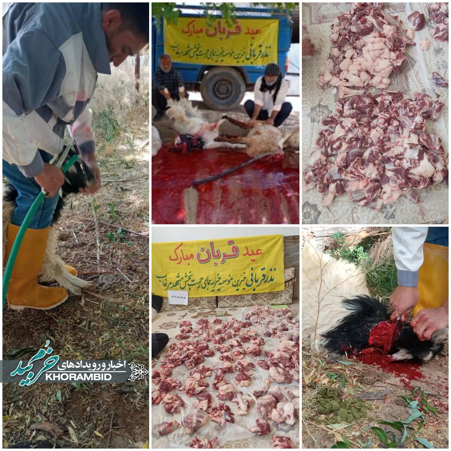 تحویل و توزیع گوشت ۹ راس گوسفند قربانی میان نیازمندان