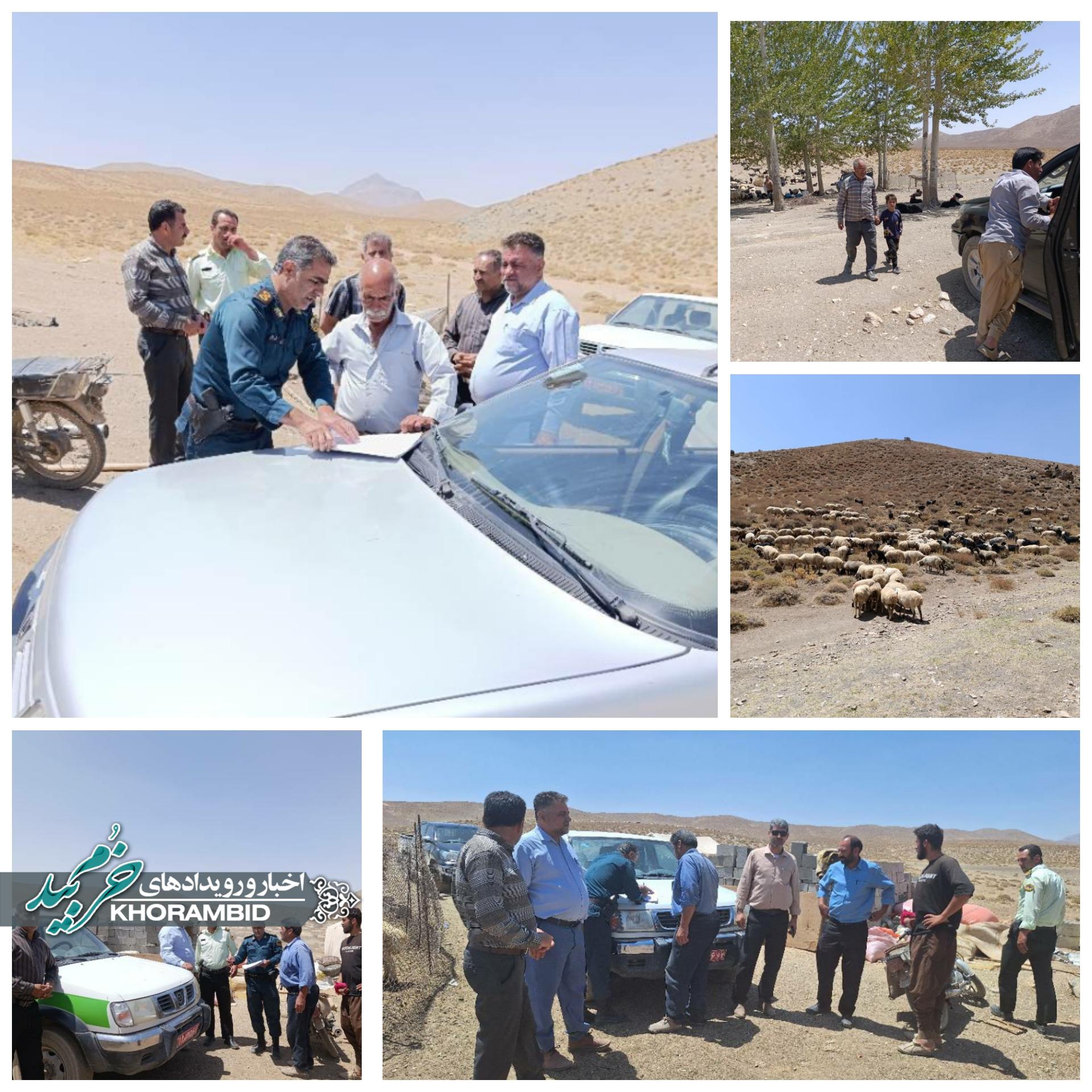 خروج دام غیرمجاز از مراتع خرم‌بید