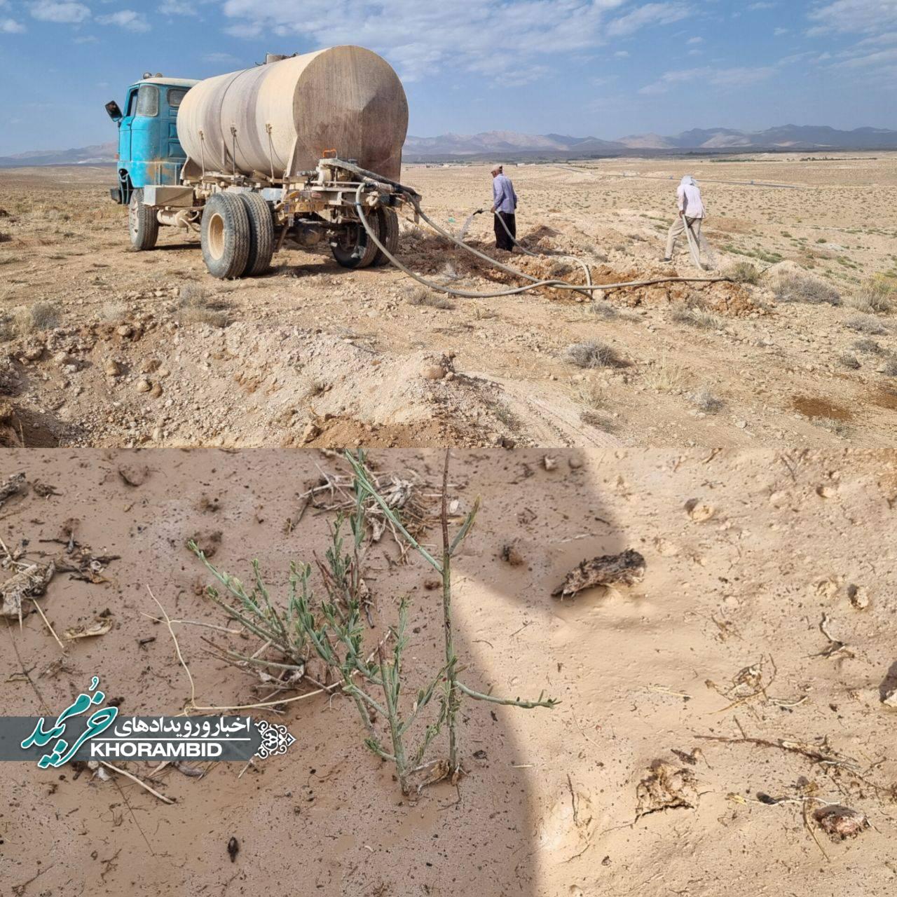 احیای امید بخش دهستان شهید آباد با نهالکاری ، با همکاری مردم و دهیاری روستا