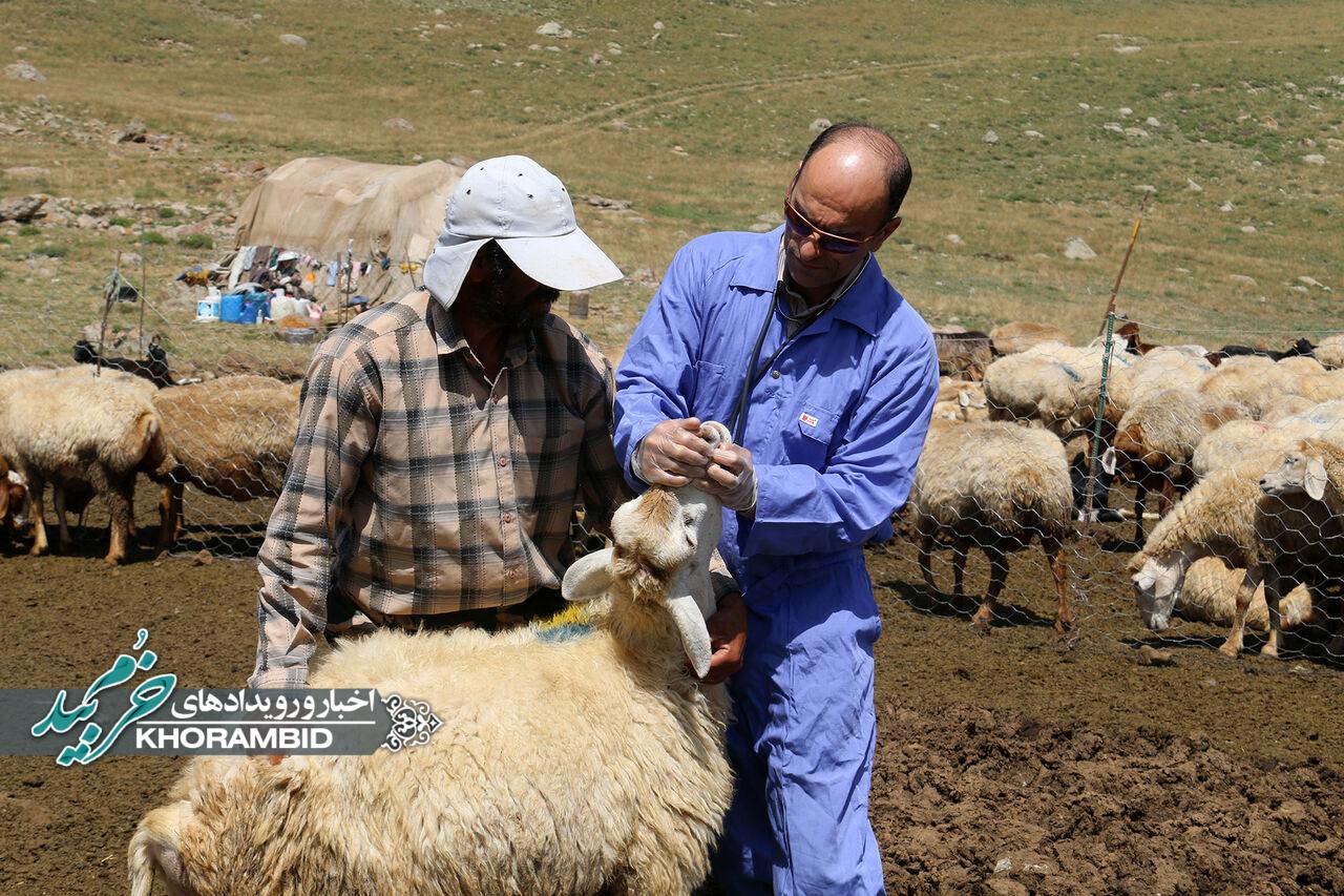 اطلاعیه شبکه دامپزشکی شهرستان خرم بید در خصوص ضرورت واکسیناسیون دامهای صنعتی و سنتی علیه بیماری تب برفکی اطلاعیه شبکه دامپزشکی شهرستان خرم بید در خصوص ضرورت واکسیناسیون دامهای صنعتی و سنتی علیه بیماری تب برفکی