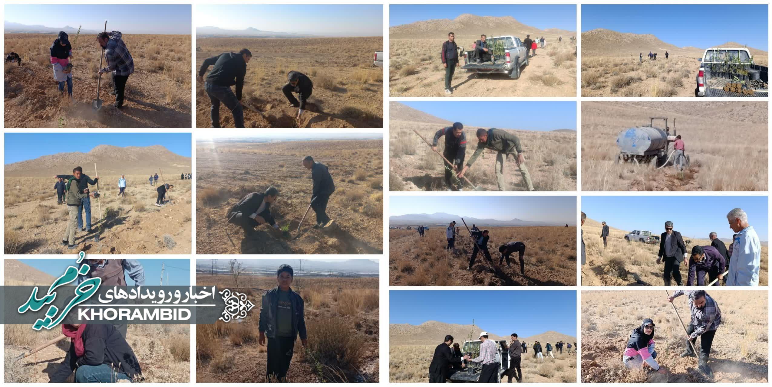 پویش ورزش سبز در خرم بید؛ کاشت ۱۰۰ اصله نهال سنجد به مناسبت هفته تربیت بدنی