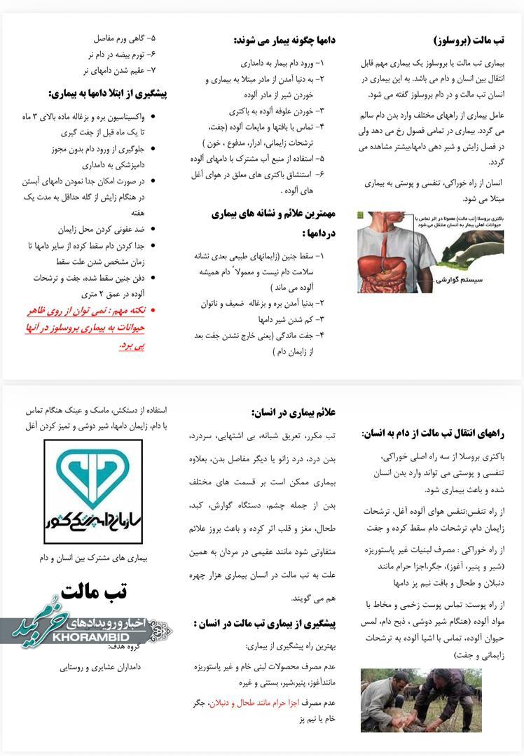 هشدار بهداشتی؛ مراقب تب مالت باشید هشدار بهداشتی؛ مراقب تب مالت باشید