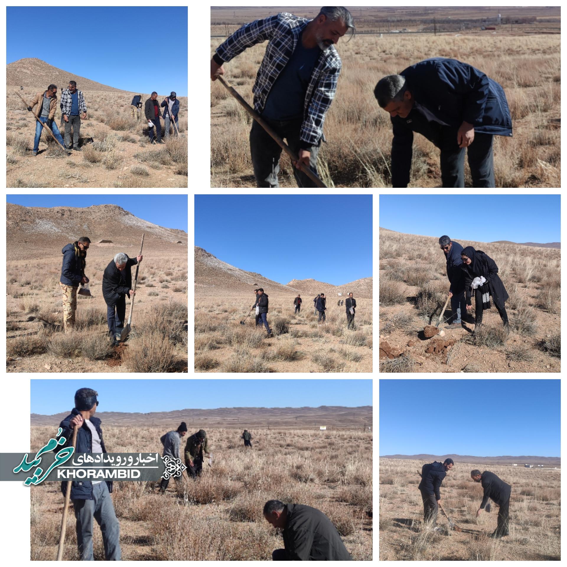 همزمان با سراسر کشور؛ پویش ملی بذرکاری «به نام پدر» با هدف افزایش سرانه فضای سبز در شهرستان خرم بید اجرا شد