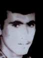 زندگینامه شهید شبیر انصاری