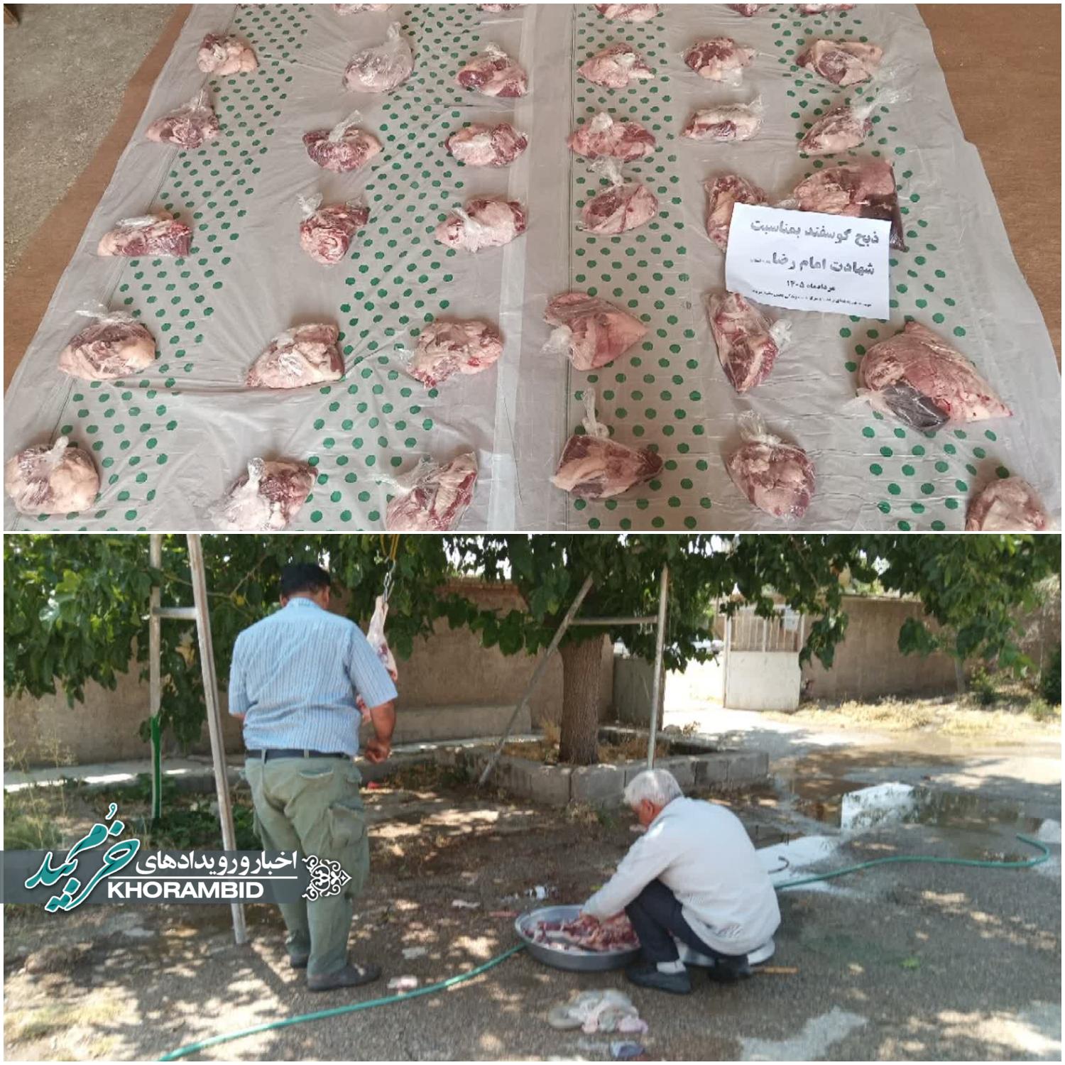 ذبح گوسفند قربانی و توزیع گوشت میان توان‌خواهان و زنان سرپرست خانوار در بخش مشهد مرغاب