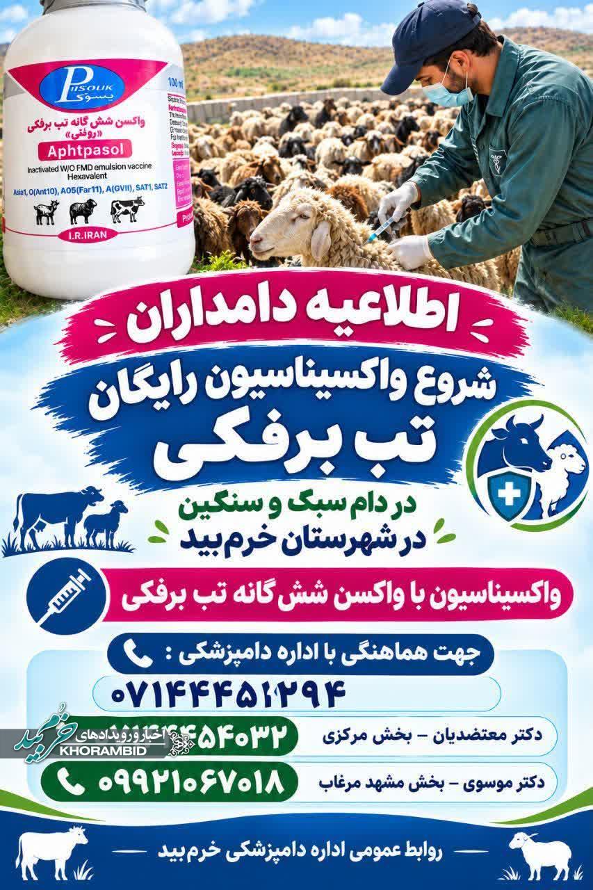 آغاز واکسیناسیون رایگان تب برفکی دام سبک و سنگین در شهرستان خرم‌بید